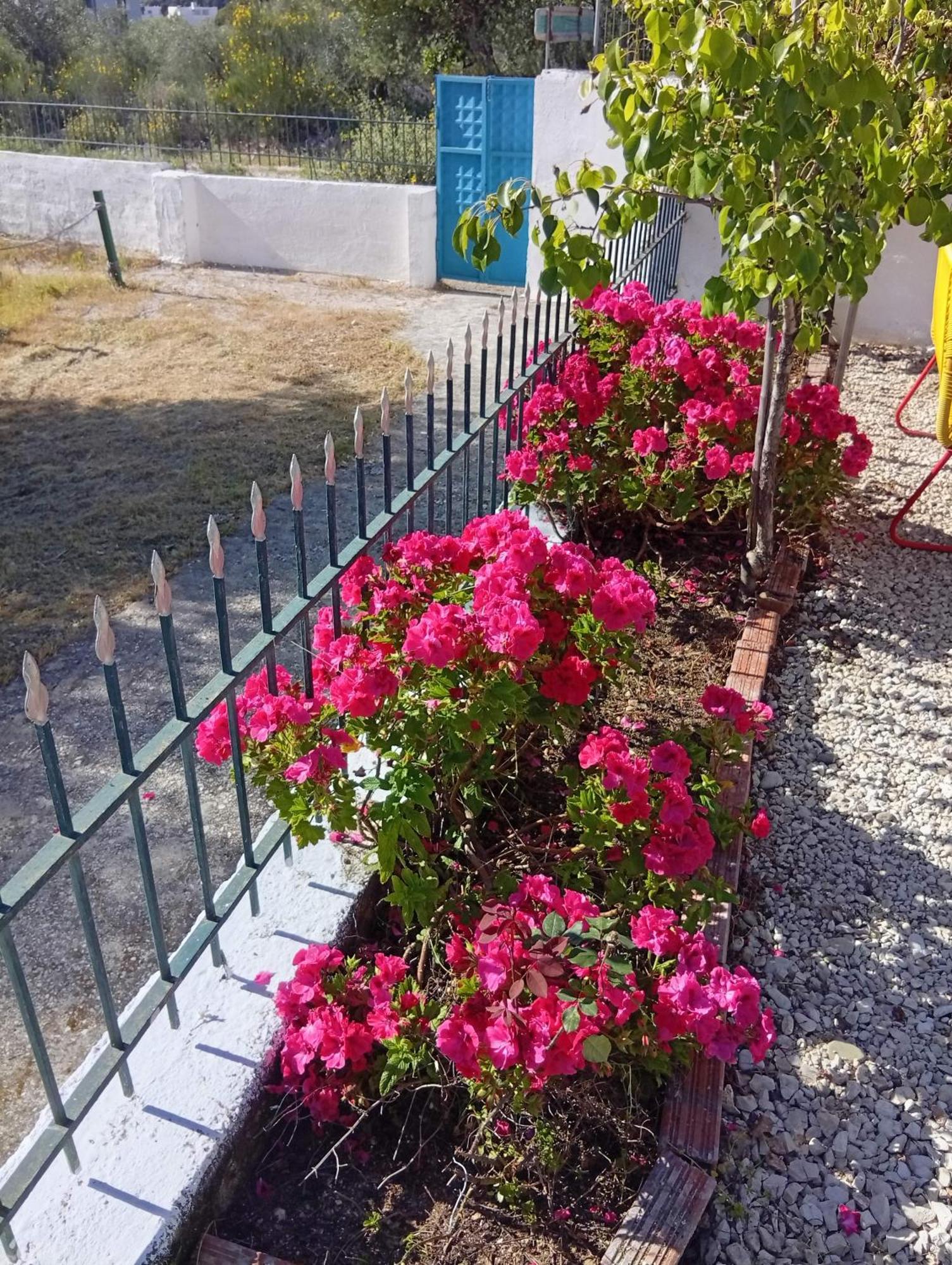 Natural Hostel Himara Zewnętrze zdjęcie